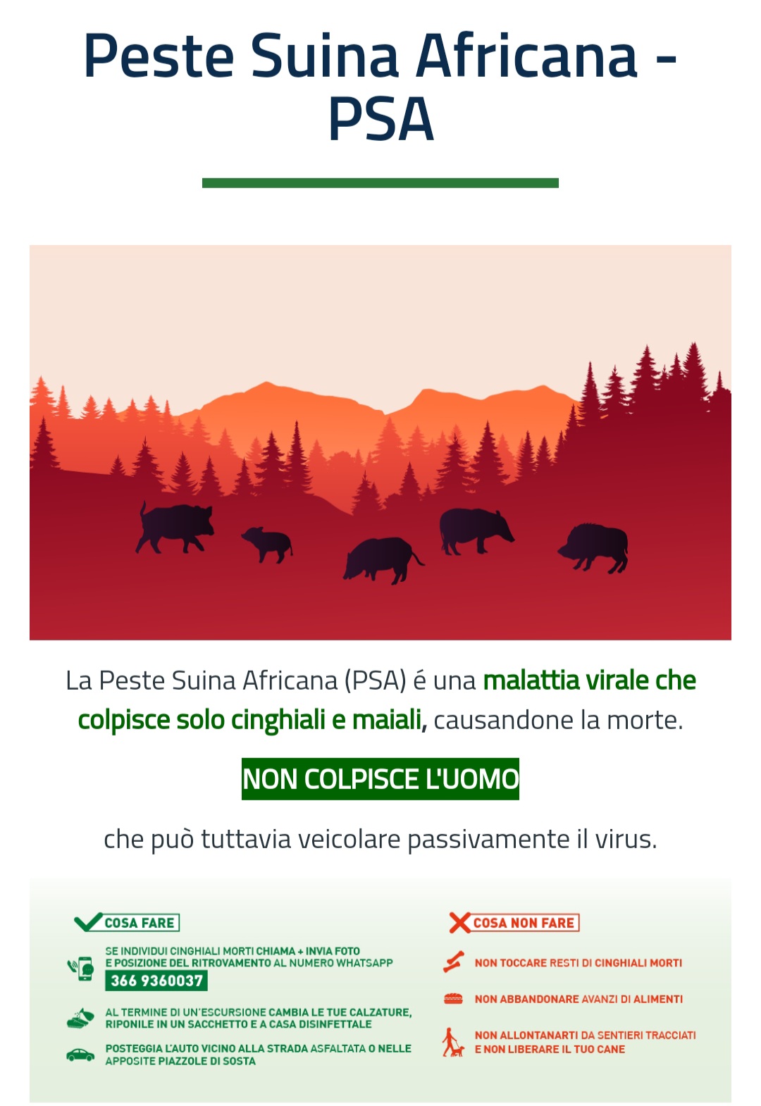 AVVISO IMPORTANTE: PROTEZIONE DA PESTE SUINA AFRICANA