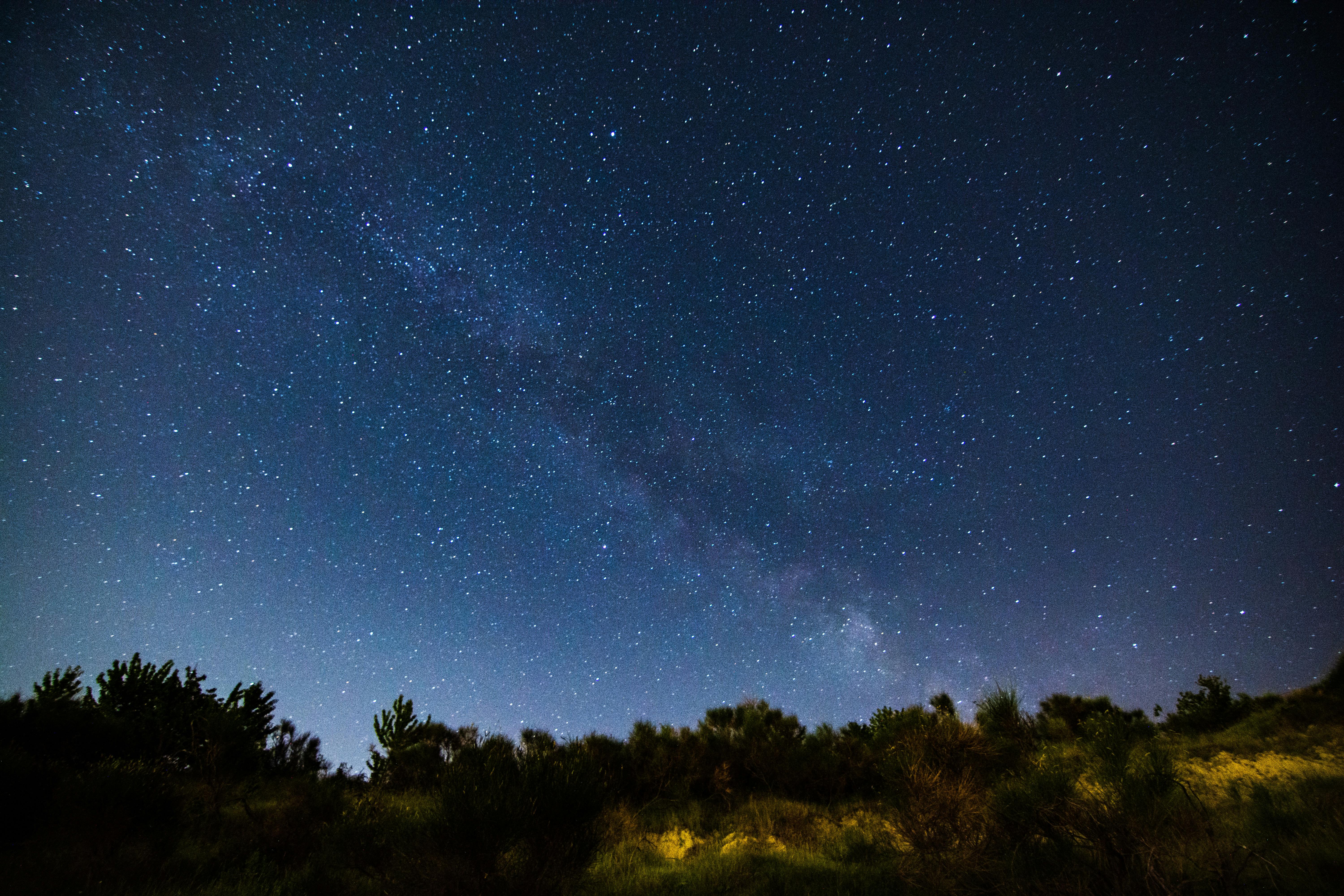 MAGGIO SIZIANESE 2024 - NOTTE SOTTO LE STELLE - 29 E 30 GIUGNO 