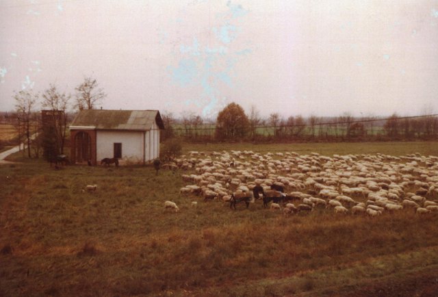img-40416-O-36-1332-0-0-b5db537f72deeb400eca917a6ff3eb8f