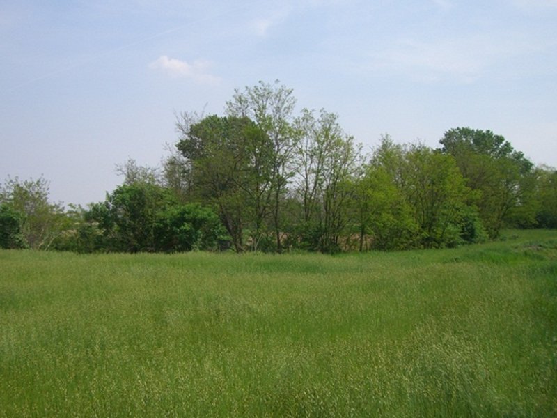 img-40479-O-36-1332-0-0-14b3e09a9cc6b01e1d28f7354257f5ea